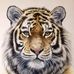 Ingrid Cramer - Facebook