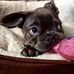 Ingrid Crowley - Facebook