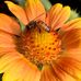 Ingrid Cutler - Facebook