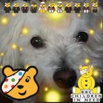 Ingrid Dale - Facebook