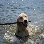Ingrid Dallaire - @ingriddallaire - Instagram