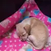 Ingrid Davila - @ingrid.davila3 - TikTok