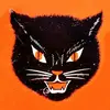 ingriddedecker5 - @ingriddedecker5 - TikTok