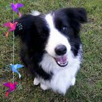 Ingrid Diehl - @ingrid.diehl.50 - Instagram