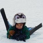 Ingrid Diehl - @diehlingrid - Instagram