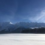 Ingrid Dietrich - @dietrich4212 - Instagram