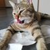 Ingrid Dietz - Facebook
