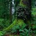 Ingrid Donovan - Facebook