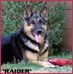 Ingrid R. Dodson - Facebook