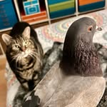 Ingrid Ducmanis - @the_cat_and_the_rat - Instagram