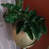 ingriddwyer81273 - @ingriddwyer81273 - TikTok