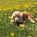 Ingrid Ebert - Facebook
