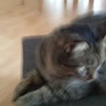 Ingrid Ebert - @ingridebert48 - Instagram
