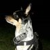Ingrid Ebert - Facebook