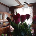 Ingrid Eckert - @eckertingrid588 - Instagram