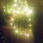 Ingrid Eckert - @eckert7314 - Instagram