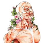 Ingrid Ehrhardt Nonato - @anato_miaefisiologia - Instagram