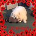 Ingrid Emerson - Facebook