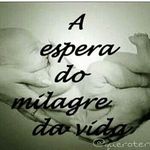 tentantes👐 - @ingridemerson2308 - Instagram
