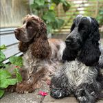 Ingrid Jeppsson - @ingrid.jeppsson.169 - Instagram