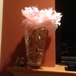 Ingrid Erickson - @ingyme1 - Instagram