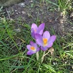 Ingrid Ernst - @ingridernst52 - Instagram