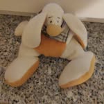 Ingrid Ernst - @ingridernst057 - Instagram