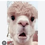 Ingrid Ernst - @ingr.idernst7 - Instagram