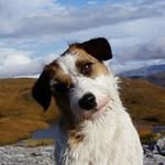 Ingrid Ernste - @ernsteingrid - Instagram