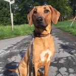Ingrid Esser - @esser4408 - Instagram