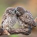 Ingrid Evers - Facebook