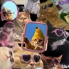 user3737006111455 - @ingridfrazierw8mk41 - TikTok