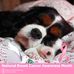 Ingrid Friedman - Facebook