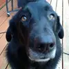ingridfuller23 - @ingridfuller23 - TikTok