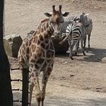 Ingrid Gross - @ingrid.gross.7127 - Instagram