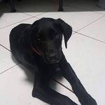 Ingrid Gross - @ingridgross77 - Instagram