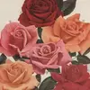 Ingrid Gross - @ingriid.gr - TikTok