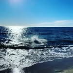 ingridgustafsson - @ingrid.gustafson49 - Instagram