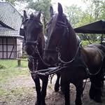 Ingrid Hahn - @ingrid.hahn.7 - Instagram