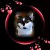 Ingrid Halenkamp - Facebook