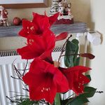 Ingrid Hamm - @aromafaktorei - Instagram