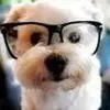 Ingrid Harrison - @ingrid.harrison4 - TikTok