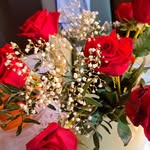 Ingrid Hartwig - @ingr_ha_wie_ - Instagram