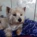 Ingrid Hirsch - Facebook