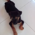 Ingrid Hirschfeld - @hirschfeldingrid - Instagram