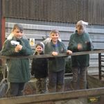 ingrid hodges - @claydon_christmas_tree_farm - Instagram