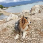 Ingrid Belazzi - @diehummelingrid - Instagram
