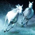 Ingrid  Hung - @ingrid123456799 - Instagram