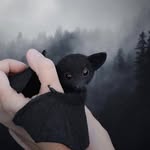 Ingrid Ghizzoni - @ingrid.ghizzoni - Instagram