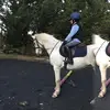 Ingrid_Jackson123 - @ingrid_jackson123 - TikTok